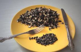 Толстеют ли от семечек: особенности, полезные свойства и калорийность